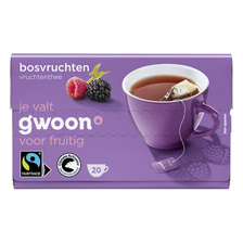 G'woon Bosvruchten Thee 20 x