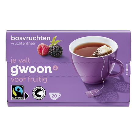 G'woon Bosvruchten Thee 20 x