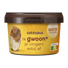 g'woon Satesaus