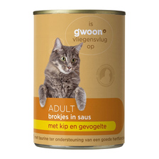 g'woon Brokjes in Saus vlees-gevogelte