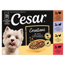 Cesar Creations in saus multipack