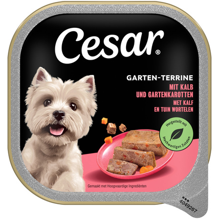 Cesar klassik terrine rijk aan kip