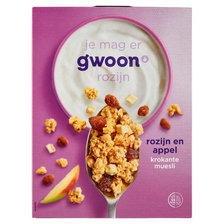 g'woon Krokante Muesli Appel 700 g