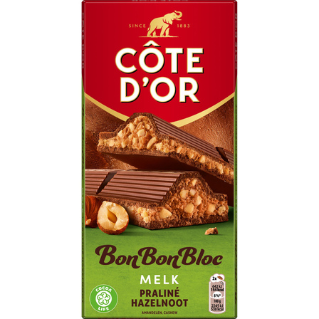 Cote d`or Bonbonbloc praline hazelnoot