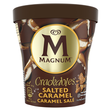 Magnum Pint IJs Double Salted Caramel