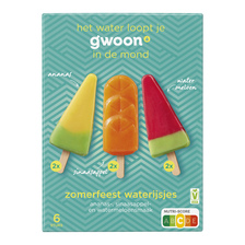 Gwoon Zomerfeest waterijsjes