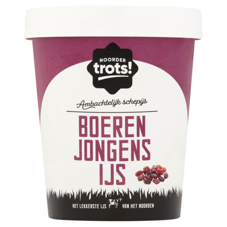 Poiesz Noordertrots Ambachtelijk Schepijs Boeren Jongens IJs 500 ml