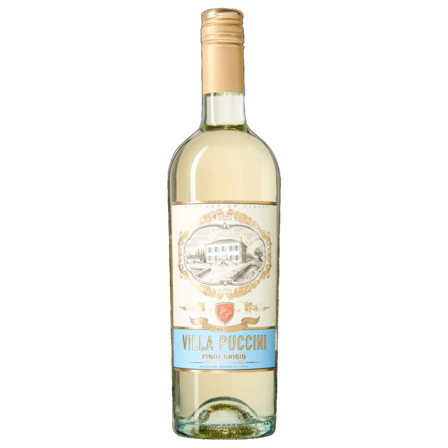 Villa Puccini pinot grigio