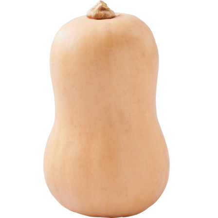 Bio+ Biologische Flespompoen