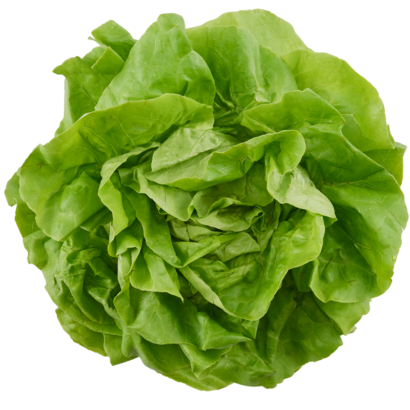 Kropsla