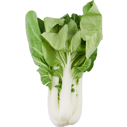 Paksoi