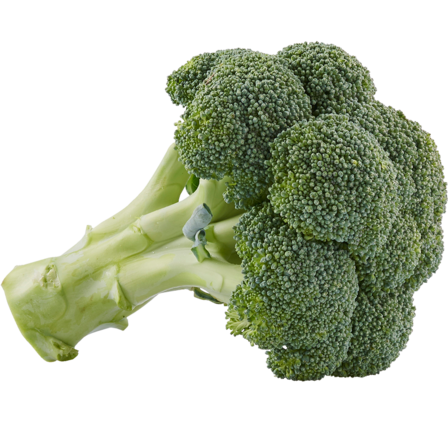 Poiesz Broccoli