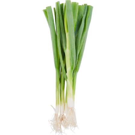 Bosuien