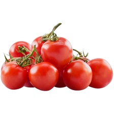 Cocktail Trostomaten