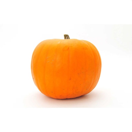 Halloweenpompoen