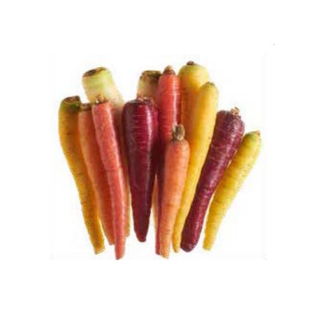 Regenboog Winterpeen