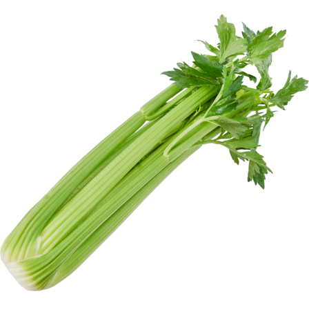 Bleekselderij