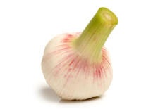 Gourmet Verse knoflook