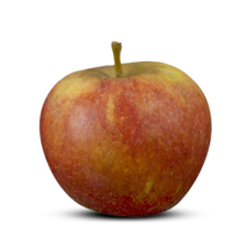 Cox Orange Pippin