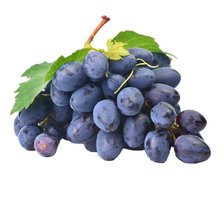 blauwe druiven  met pit