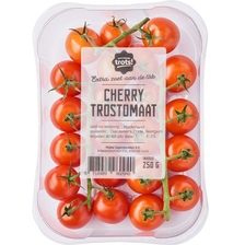 Noordertrots cherry trostomaat