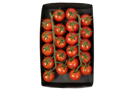 Tros-Cherrytomaten