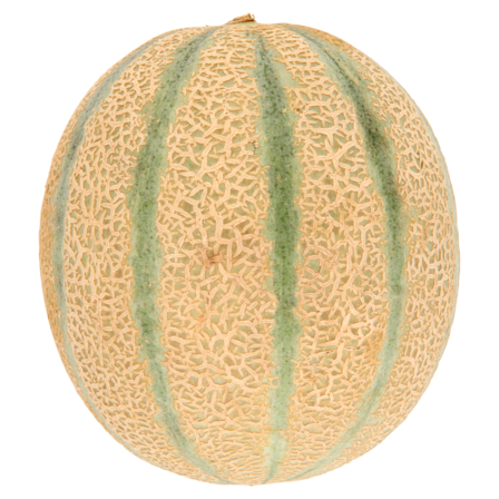 Cantaloupe meloen