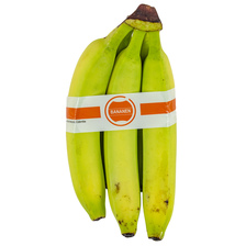 Budget Bananen