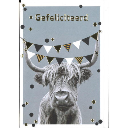 Gefeliciteerd