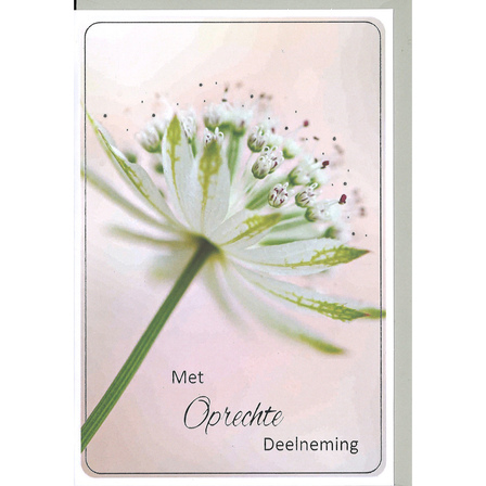 Oprechte deelneming