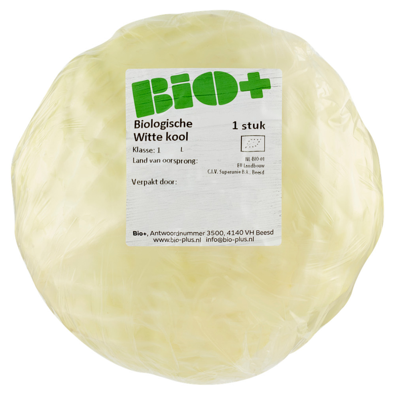 Witte Kool
