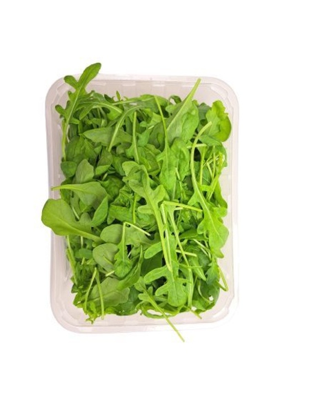 Rucola