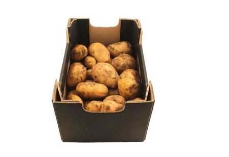Frieslander
