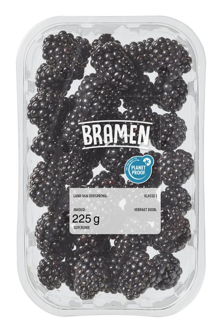 Bramen