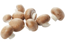 Kastanje champignons