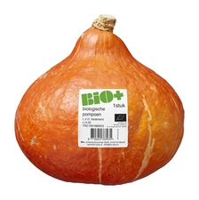 Biologische oranje pompoen