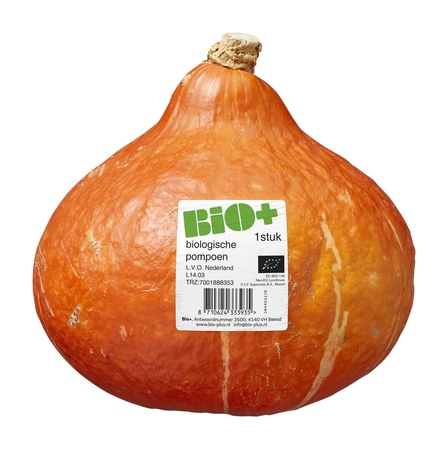 Biologische oranje pompoen