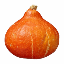 Oranje pompoen