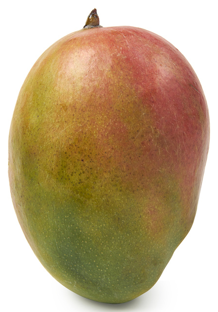 Mango XXL