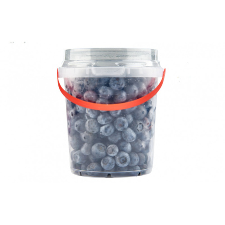 Blauwe bessen