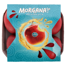 Morgana op schaal