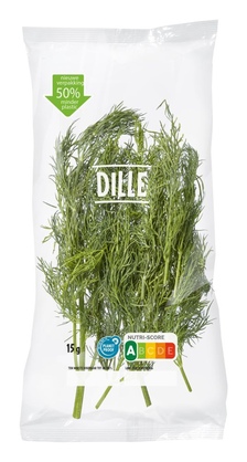 Dille Vers