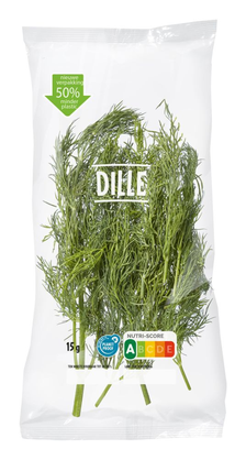 Dille Vers