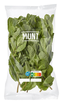 Munt vers