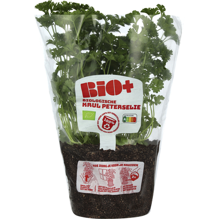 Bio+ Krulpeterselie