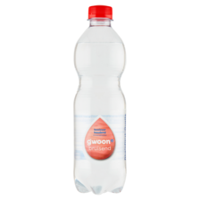 G'woon Koolzuurhoudend Mineraalwater