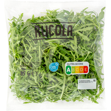 Rucola