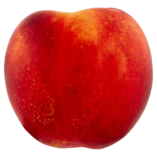  Nectarine