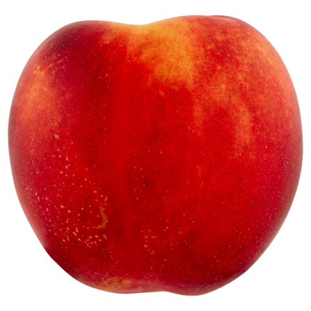 Nectarine
