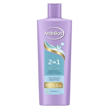Andrelon Shampoo 2in1